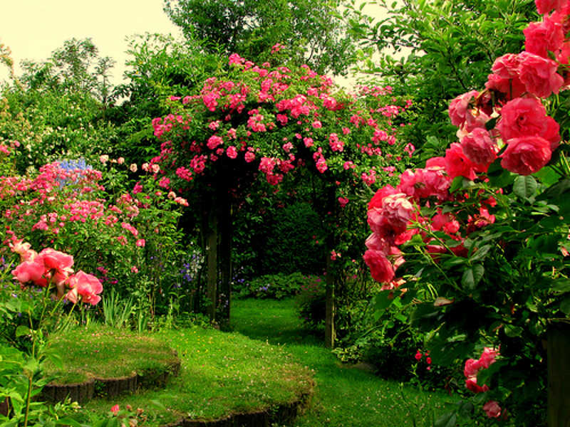 Nehru Rose Garden